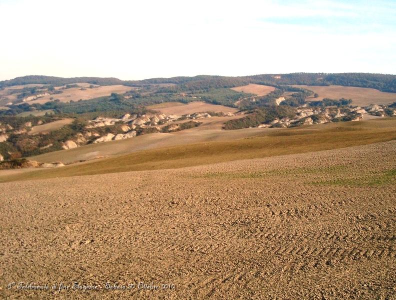 0267.JPG - Qui siamo nella riserva naturale della lucciola bella...