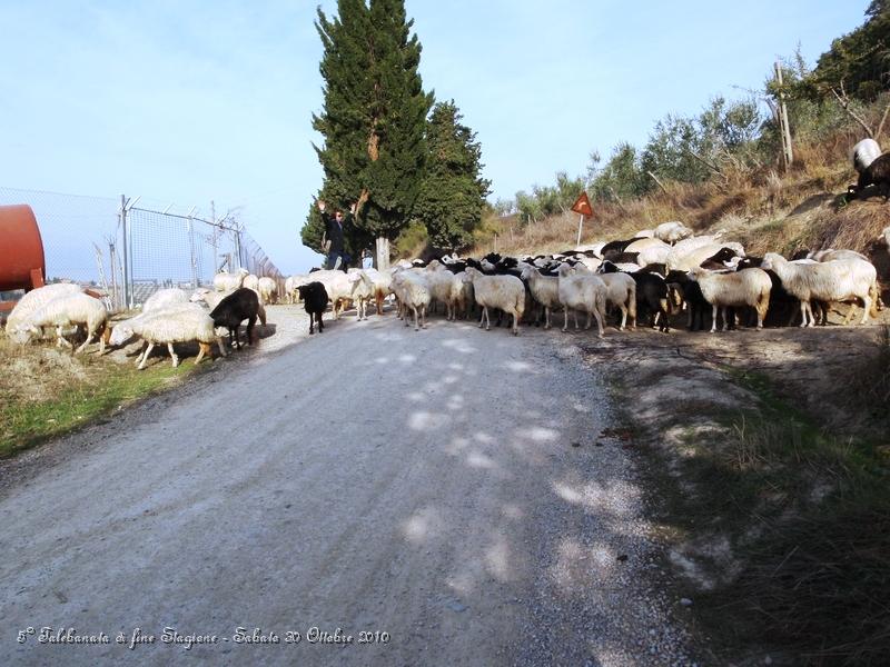 0271.JPG - Qui siamo vicino alla tenuta di palazzo massaini, a circa 4 km da Pienza...