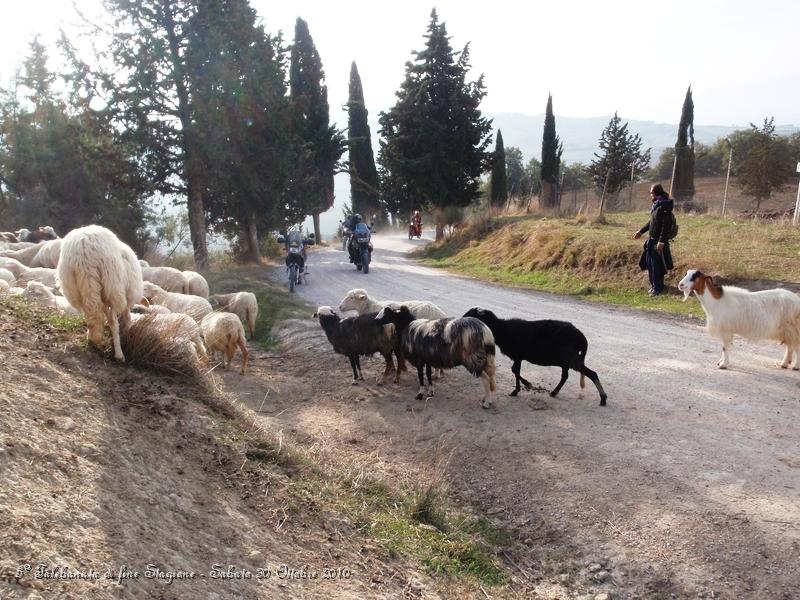 0273.JPG - Qui siamo vicino alla tenuta di palazzo massaini, a circa 4 km da Pienza...