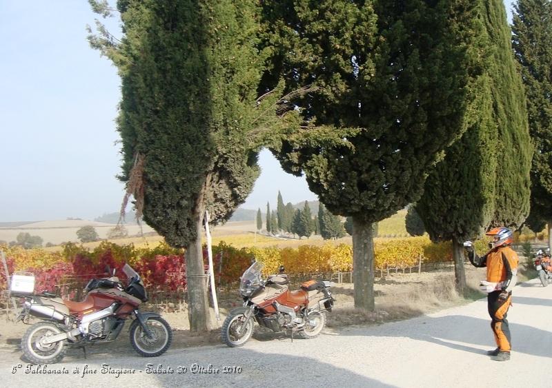 0277.JPG - Qui siamo vicino alla tenuta di palazzo massaini, a circa 4 km da Pienza...