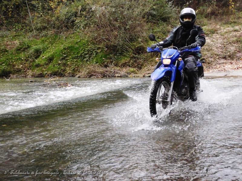 0404.JPG - Guado dell'Ombrone, purtroppo non c'è tanta acqua...