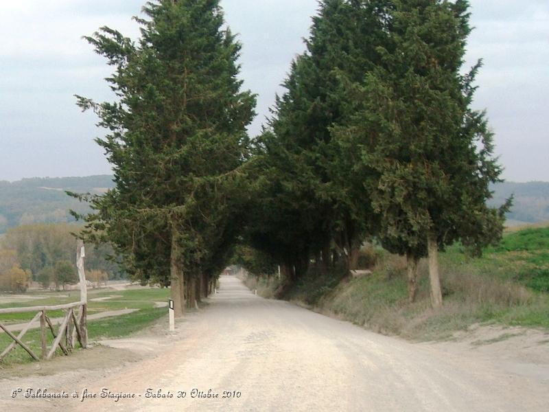 0451.JPG - Questo spettacolare sterrato parte da Buonconvento ed arriva a Montalcino...