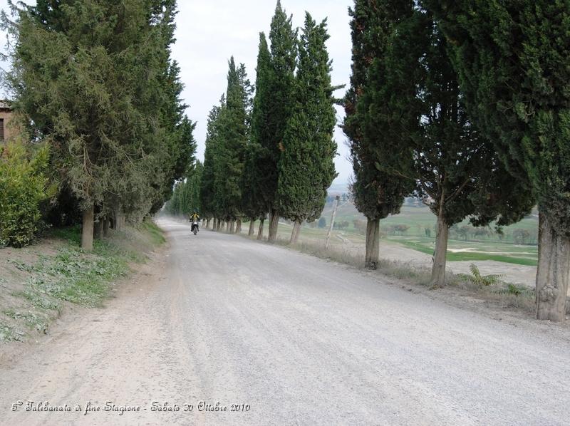 0454.JPG - Questo spettacolare sterrato parte da Buonconvento ed arriva a Montalcino...