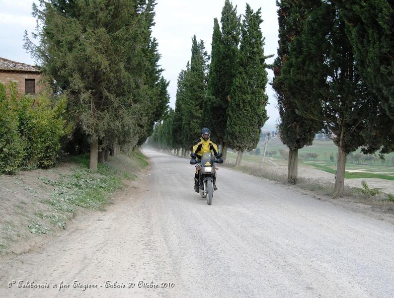 0456.JPG - Questo spettacolare sterrato parte da Buonconvento ed arriva a Montalcino...