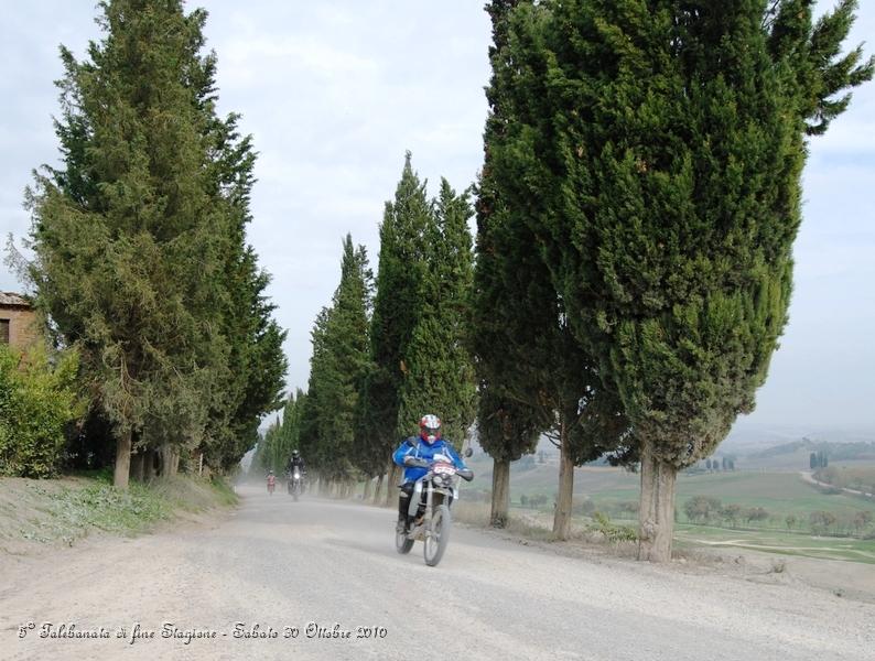 0458.JPG - Questo spettacolare sterrato parte da Buonconvento ed arriva a Montalcino...