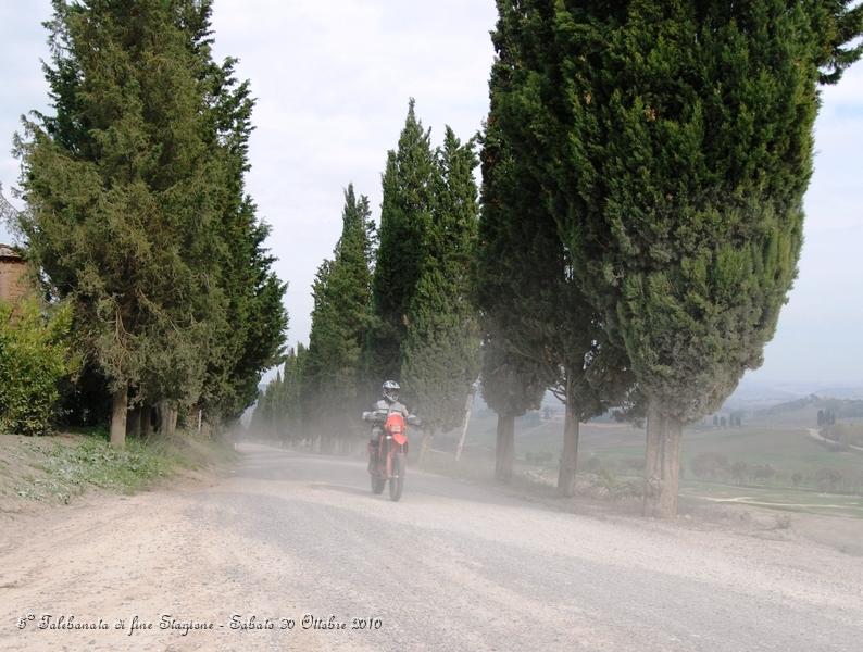 0460.JPG - Questo spettacolare sterrato parte da Buonconvento ed arriva a Montalcino...