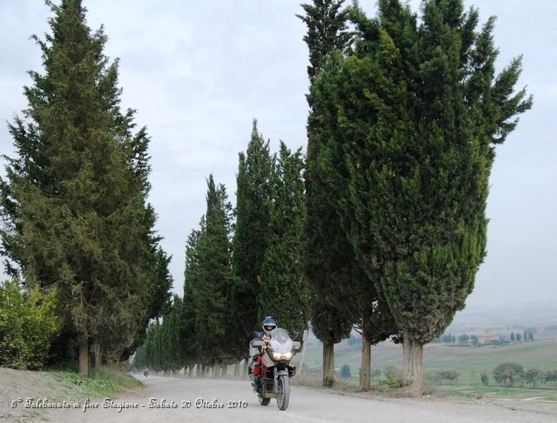 0461.JPG - Questo spettacolare sterrato parte da Buonconvento ed arriva a Montalcino...