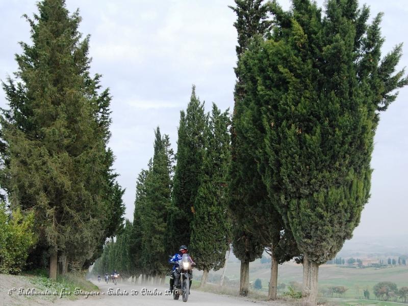 0464.JPG - Questo spettacolare sterrato parte da Buonconvento ed arriva a Montalcino...