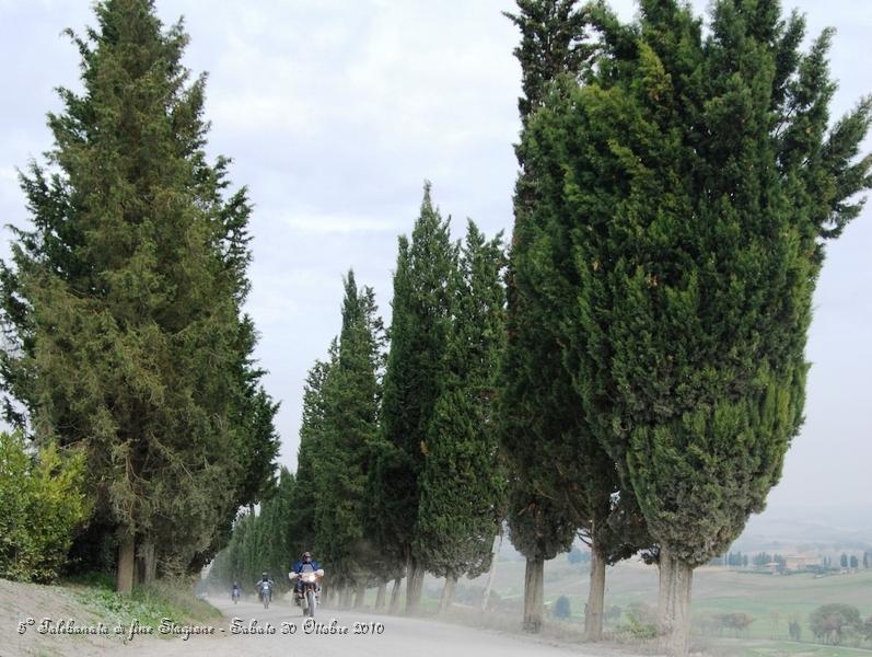 0465.JPG - Questo spettacolare sterrato parte da Buonconvento ed arriva a Montalcino...