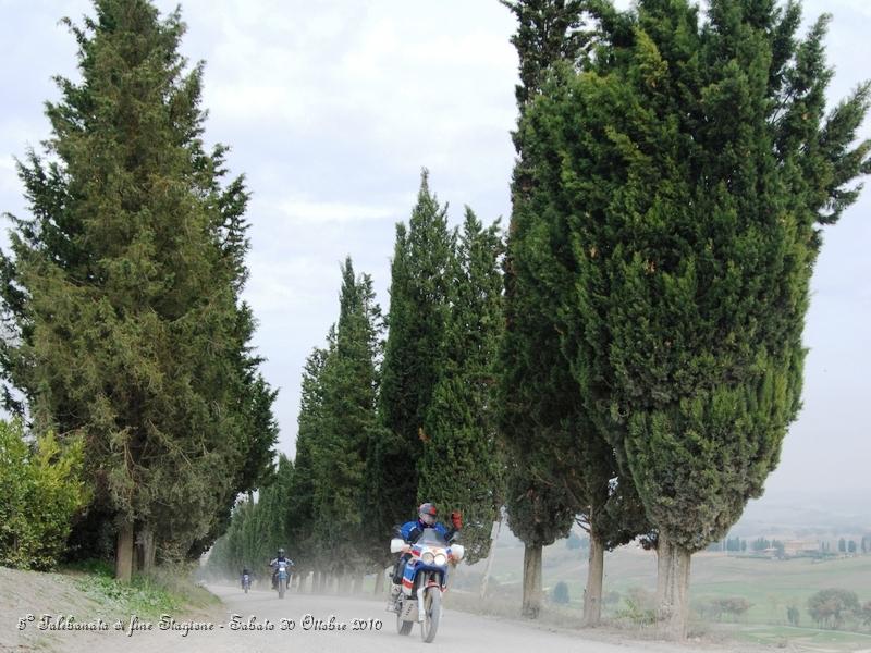 0466.JPG - Questo spettacolare sterrato parte da Buonconvento ed arriva a Montalcino...