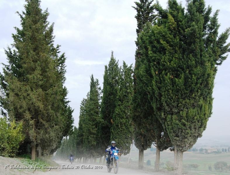 0467.JPG - Questo spettacolare sterrato parte da Buonconvento ed arriva a Montalcino...