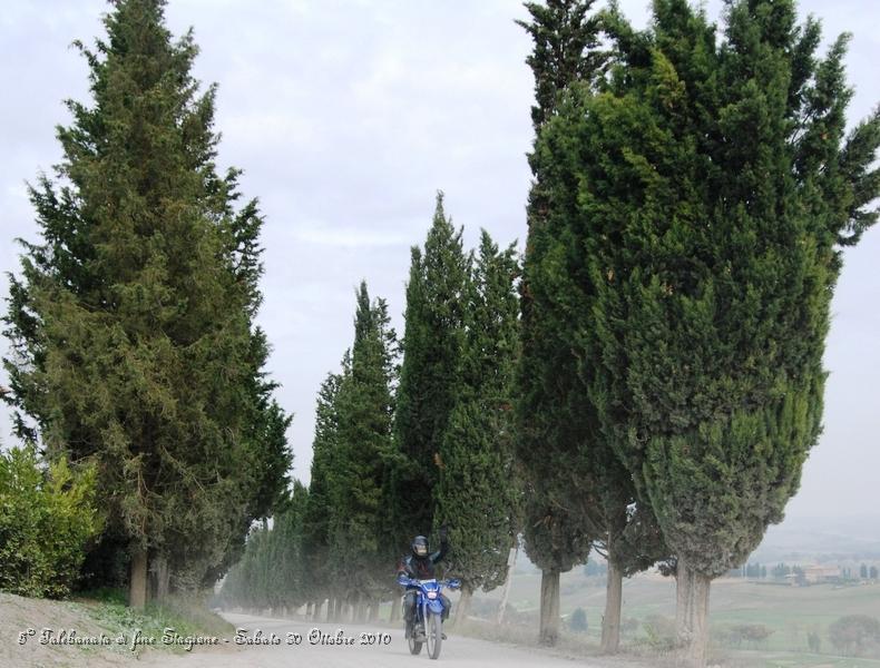 0468.JPG - Questo spettacolare sterrato parte da Buonconvento ed arriva a Montalcino...