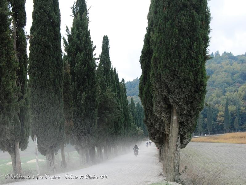 0469.JPG - Questo spettacolare sterrato parte da Buonconvento ed arriva a Montalcino...