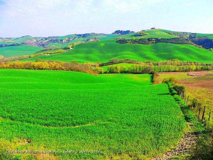 0223.JPG - Le sfumature del Grano col Sole :-)