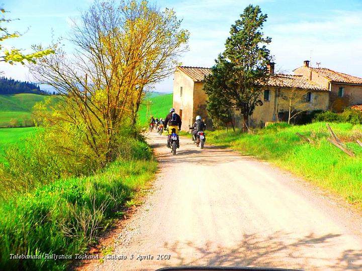 0239.JPG - Qui c'è il verde dei campi