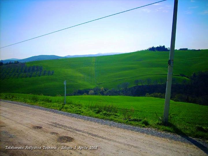 0247.JPG - Altri campi di Grano