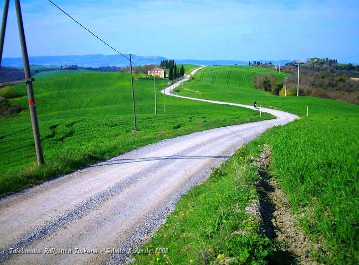 0250.JPG - Stradine immerse nella nel Grano