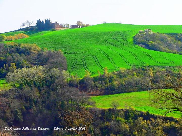 0258.JPG - Il verde dei campi