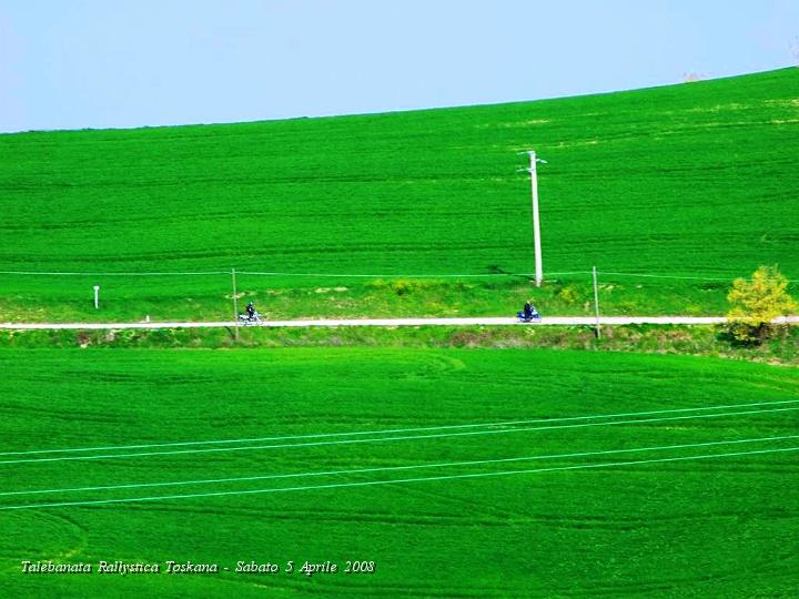 0272.JPG - Il verde del Grano