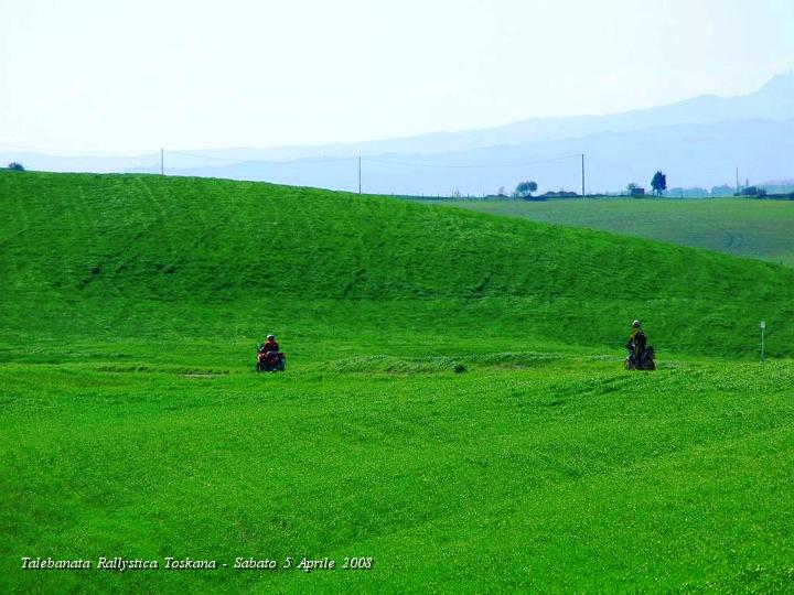 0288.JPG - Immersi nel verde