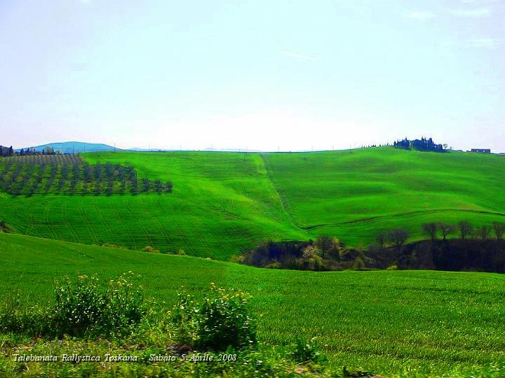 0305.JPG - Ancora campi di grano