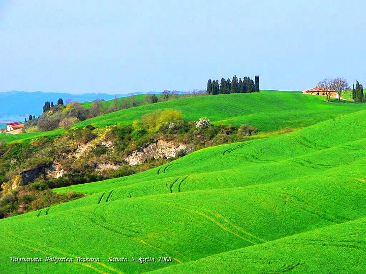 0310.JPG - Ancora il verde