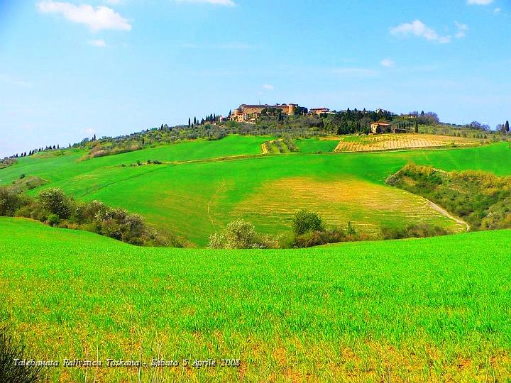 0403.JPG - Il verde dei campi coltivati