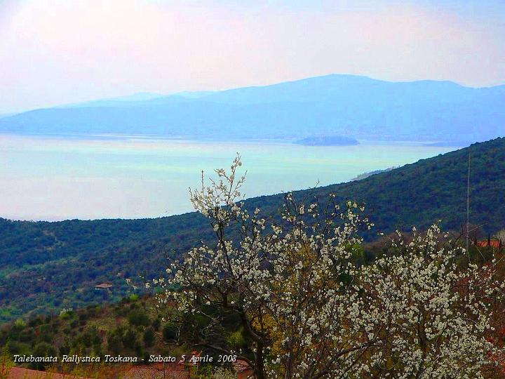 0750.JPG - Gli alberi in fiore