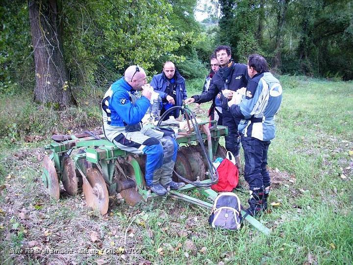 DSCN4497.JPG - Ecco l'Erpice, più comunemente chiamato Frangizolle, viene utilizzato dopo un aratura per rompere le zolle e quindi assodare il terreno in vista della semina... :-)