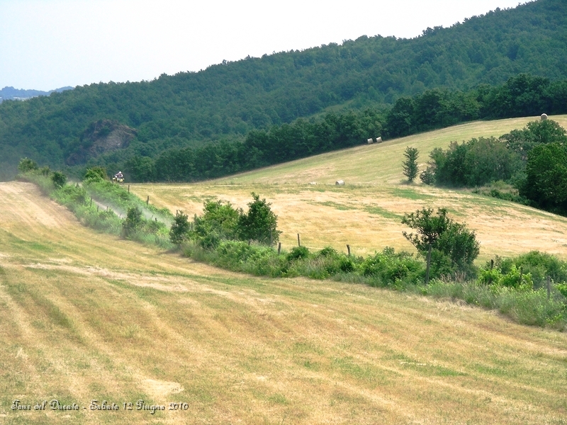 037.JPG - Splendide campagne parmensi