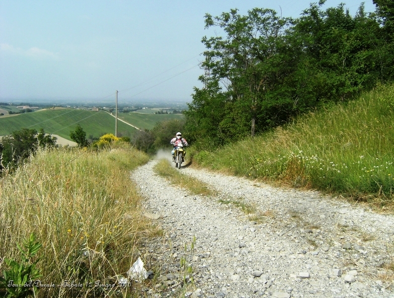 073.JPG - Salita tra le colline parmensi...