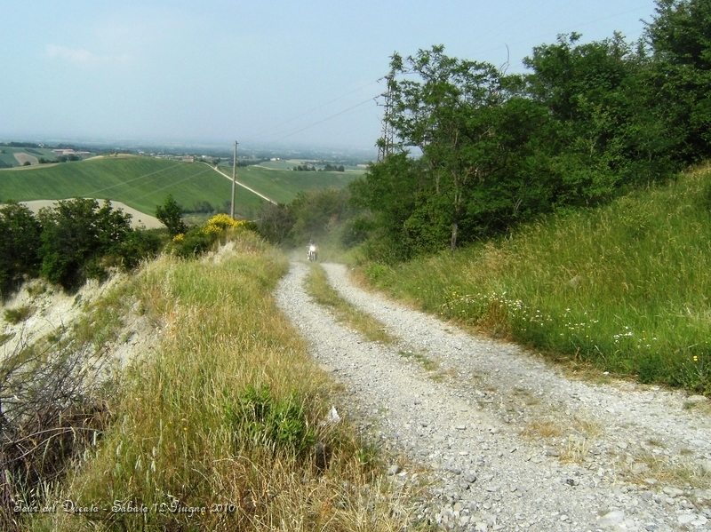 076.JPG - Salita tra le colline parmensi...