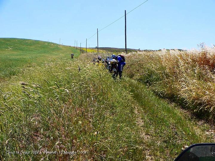 DSCN2814.JPG - Maremma che erbonaio !! :-)