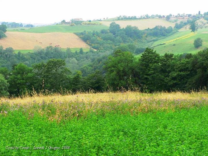 DSCN3240.JPG - La campagna Laziale