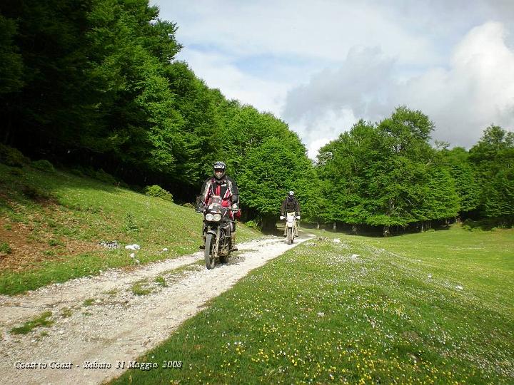 DSCN3035.JPG - Intorno a noi tutto verde