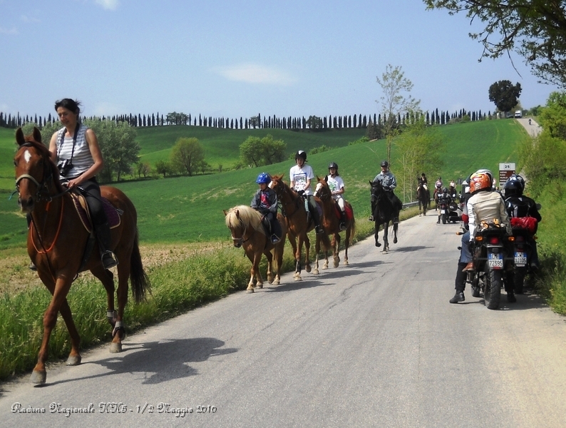 0069.JPG - Anche bambini a cavallo