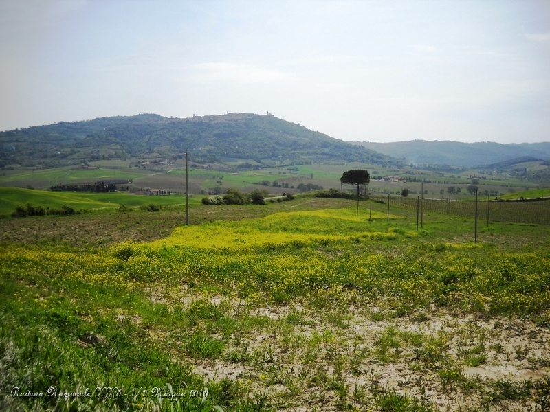 0111.JPG - Dopo pranzo si riparte da Montalcino in direzione Torrenieri..