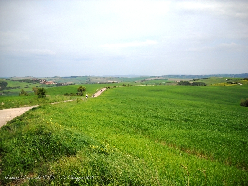 0118.JPG - Eccoci, iniziano le crete senesi, qualcosa di veramente unico