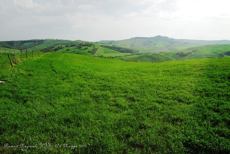 0170.JPG - Il verde della primavera nelle crete senesi