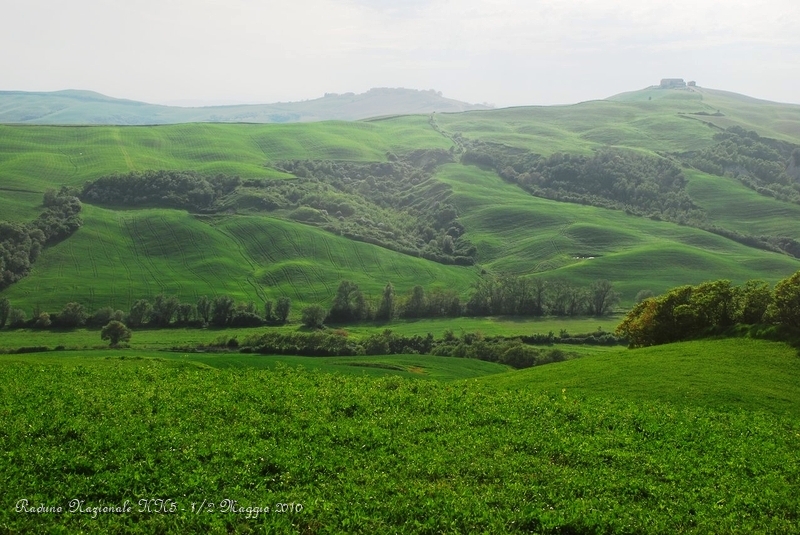 0171.JPG - Il verde della primavera nelle crete senesi