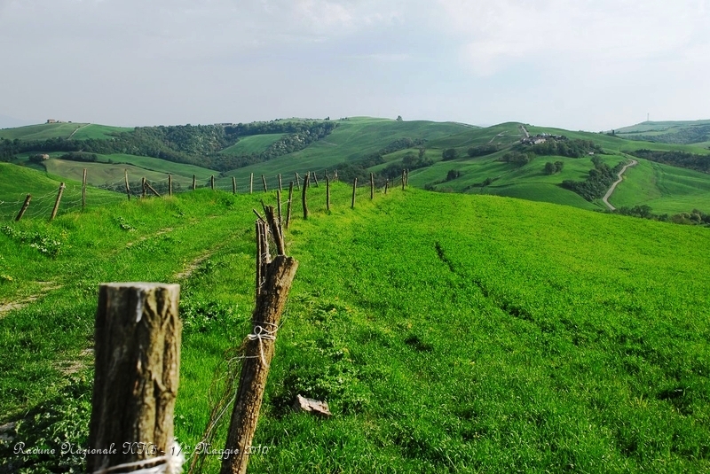 0172.JPG - Il verde della primavera nelle crete senesi