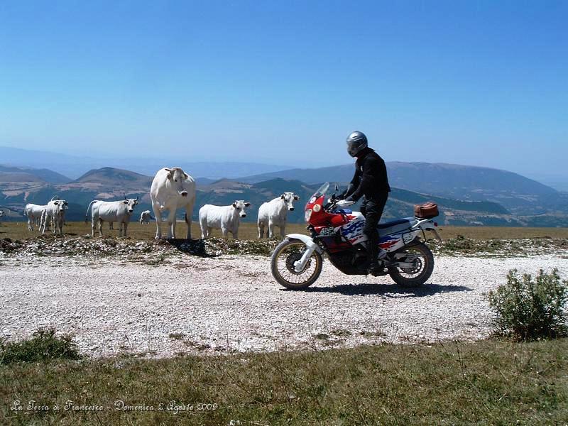 DSCF1174.JPG - Qui siamo sul Monte Pennino