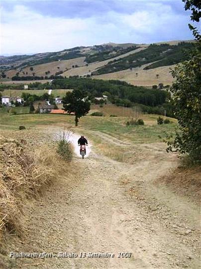 0054.JPG - Intanto arrivano le cavallette...