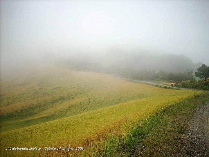 DSCN3557.JPG - Campi di grano