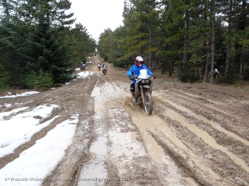 0129.JPG - Simofede tra neve e fango