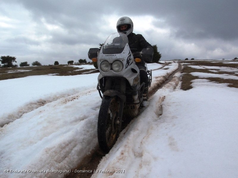 0222.JPG - Discesa tra la neve