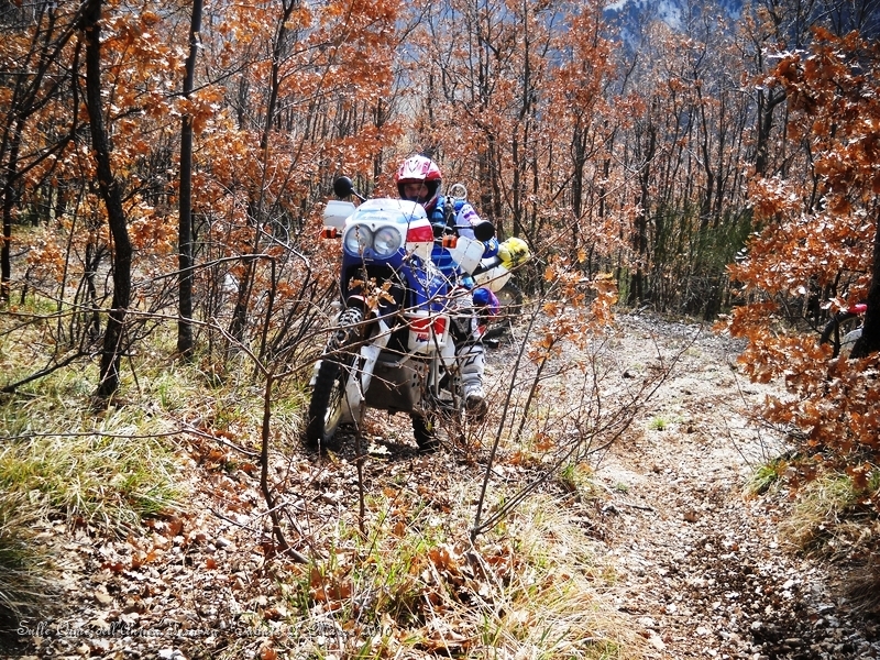 DSCN7126.JPG - Ecco, strappetto impegnativo in mezzo al bosco...