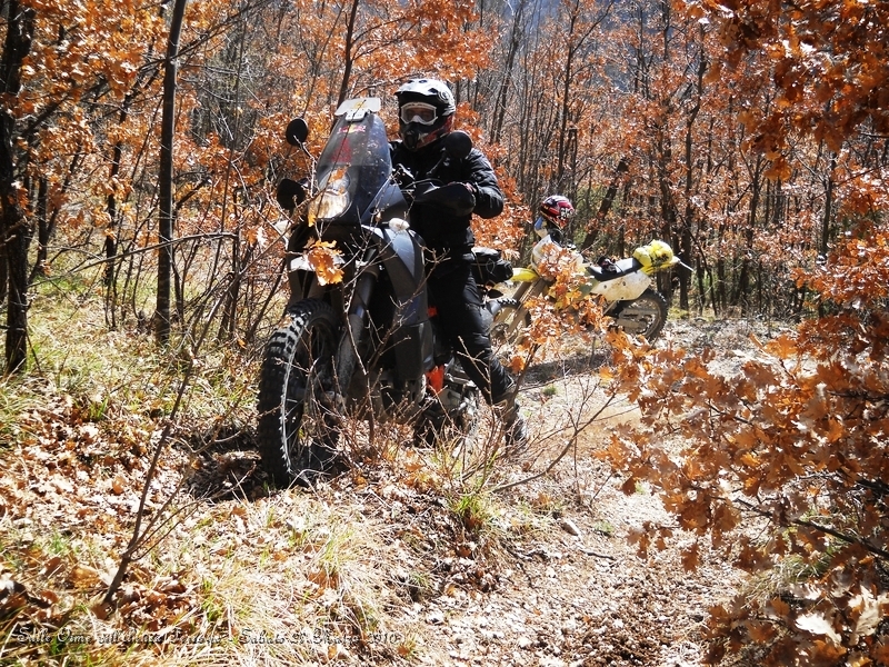 DSCN7131.JPG - Ecco, strappetto impegnativo in mezzo al bosco...