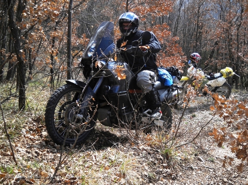 DSCN7135.JPG - Ecco, strappetto impegnativo in mezzo al bosco...