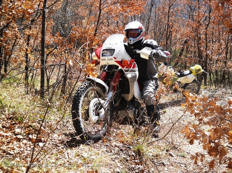 DSCN7136.JPG - Ecco, strappetto impegnativo in mezzo al bosco...